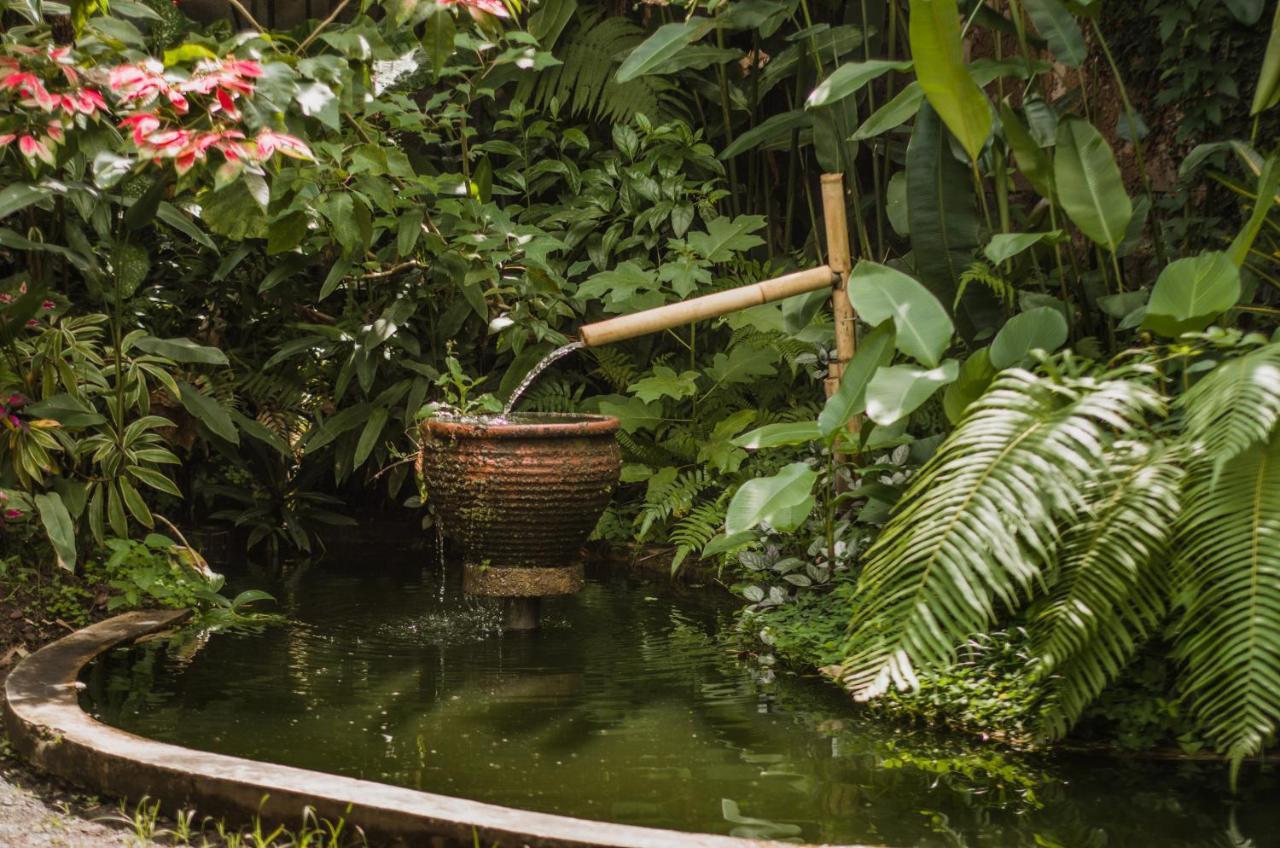 The Winaposa Hotel Munduk  Ngoại thất bức ảnh